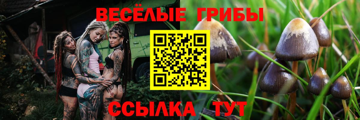Галлюциногенные грибы MAGIC MUSHROOMS  Галлюциногенные грибы GOLDEN TEACHER  Вход с VPN  Большой Камень 