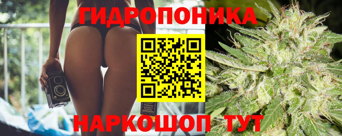 Бошки марихуана ГИДРОПОН  Вход с VPN  Каннабис OG Kush  Большой Камень 